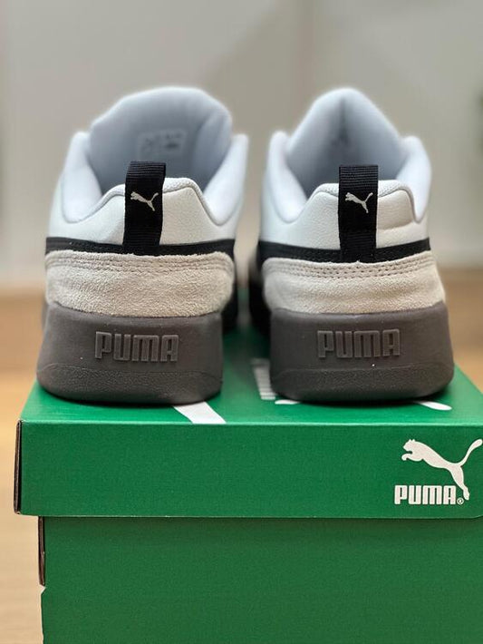 Puma Park