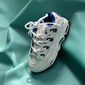 Osiris D3 2001 - White / Blue